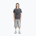 Koszulka męska Alpha Industries Hawaii vintage grey 2