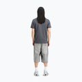 Koszulka męska Alpha Industries Hawaii vintage grey 3