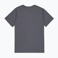 Koszulka męska Alpha Industries Hawaii vintage grey 8