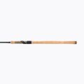 Wędka spławikowa Daiwa Aqualite Float czarna 3