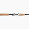 Wędka spławikowa Daiwa Aqualite Tele Float czarna 3