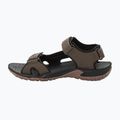 Sandały męskie Jack Wolfskin Lakewood Cruise dark wood 12