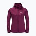 Bluza trekkingowa damska Jack Wolfskin Hydro Grid Fleece wild berry 7