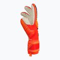Rękawice bramkarskie Reusch Attrakt SpeedBump hocking orange/blue 9