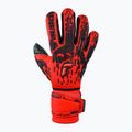 Rękawice bramkarskie Reusch Attrakt Freegel Fusion Ortho-Tec Goaliator bright red/future blue/black 4