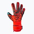 Rękawice bramkarskie Reusch Attrakt Freegel Gold Finger Support bright red/future blue/black 4