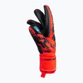 Rękawice bramkarskie Reusch Attrakt Freegel Gold Finger Support bright red/future blue/black 6