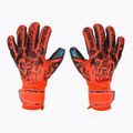 Rękawice bramkarskie Reusch Attrakt Freegel Gold Finger Support bright red/future blue/black