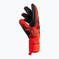 Rękawice bramkarskie Reusch Attrakt Freegel Silver Finger Support bright red/future blue/black 6
