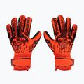 Rękawice bramkarskie Reusch Attrakt Freegel Silver Finger Support bright red/future blue/black