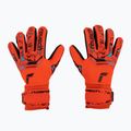 Rękawice bramkarskie Reusch Attrakt Grip Evolution Finger Support bright red/future blue/black