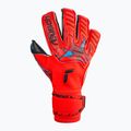 Rękawice bramkarskie Reusch Attrakt Gold X Evolution Cut bright red/future blue/black 4