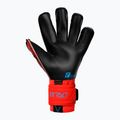 Rękawice bramkarskie Reusch Attrakt Gold X Evolution Cut bright red/future blue/black 5