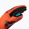 Rękawice bramkarskie Reusch Attrakt Gold X bright red/future blue/black 3