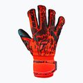 Rękawice bramkarskie Reusch Attrakt Freegel Gold Evolution Cut bright red/future blue/black 4