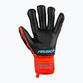 Rękawice bramkarskie Reusch Attrakt Freegel Gold Evolution Cut bright red/future blue/black 5