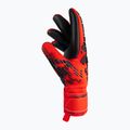 Rękawice bramkarskie Reusch Attrakt Freegel Silver bright red/future blue/black 6