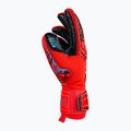 Rękawice bramkarskie dziecięce Reusch Attrakt Fusion Guardian bright red/future blue/black 5