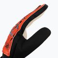 Rękawice bramkarskie Reusch Attrakt Starter Solid bright red/future blue 3