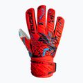 Rękawice bramkarskie dziecięce Reusch Attrakt Solid Finger Support bright red/future blue 4