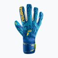 Rękawice bramkarskie Reusch Attrakt Freegel Aqua Windproof true blue/gold/aqua blue 4
