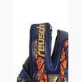 Rękawice bramkarskie Reusch Attrakt Gold X Evolution premium blue/gold/black 5