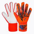 Rękawice bramkarskie Reusch Attrakt Starter Solid bright red/future blue