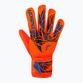 Rękawice bramkarskie Reusch Attrakt Starter Solid bright red/future blue 2