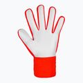 Rękawice bramkarskie Reusch Attrakt Starter Solid bright red/future blue 3