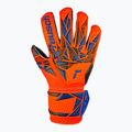 Rękawice bramkarskie dziecięce Reusch Attrakt Silver Junior hyper orng/elec blue/blck 2