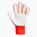Rękawice bramkarskie Reusch Attrakt Starter Solid shocking orange/blue 3