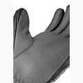Rękawice narciarskie Reusch Worldcup Warrior DH black/silver/fluo red 6
