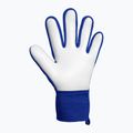 Rękawice bramkarskie Reusch Attrakt Starter Solid sharp blue/white/shocking orange 3