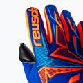 Rękawice bramkarskie Reusch Attrakt Freegel Duo NC sharp blue/shocking orange/black 6