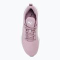 Buty PUMA Flyer Runner elderberry/puma white 5