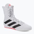 Buty bokserskie adidas Box Hog 3 biało-czarne GV9975
