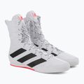 Buty bokserskie adidas Box Hog 3 biało-czarne GV9975 5