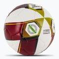 Piłka do piłki nożnej ERIMA Hybrid Training 2.0 red/lime rozmiar 4 2