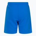 Spodenki dziecięce PUMA Teamrise electric blue/lemonade/puma white 2