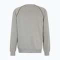 Bluza męska FILA Landin Raglan Crew Sweat light grey melange 6