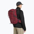 Plecak turystyczny Jack Wolfskin Cyrox Shape 20 l deep ruby 5