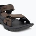Sandały męskie Jack Wolfskin Lakewood Ride cold coffee 7
