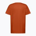 Koszulka męska Jack Wolfskin Jack Wolfskin Brand T burnt orange 6