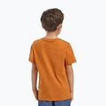 Koszulka dziecięca Jack Wolfskin Graphic Cotton T print soft amber 3