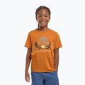 Koszulka dziecięca Jack Wolfskin Graphic Cotton T print soft amber 5