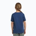 Koszulka dziecięca Jack Wolfskin Graphic Cotton T print evening sky 3