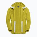 Bluza trekkingowa męska Jack Wolfskin Peak District Hooded Full Zip chartreuse 9