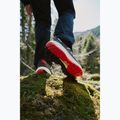 Buty turystyczne męskie Jack Wolfskin Wild Hike Texapore Low obsidian moss 9