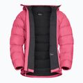 Kurtka puchowa damska Jack Wolfskin Ather Down Hoody bubblegum 9