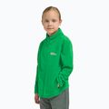 Bluza polarowa dziecięca Jack Wolfskin Taunus mystic green 10